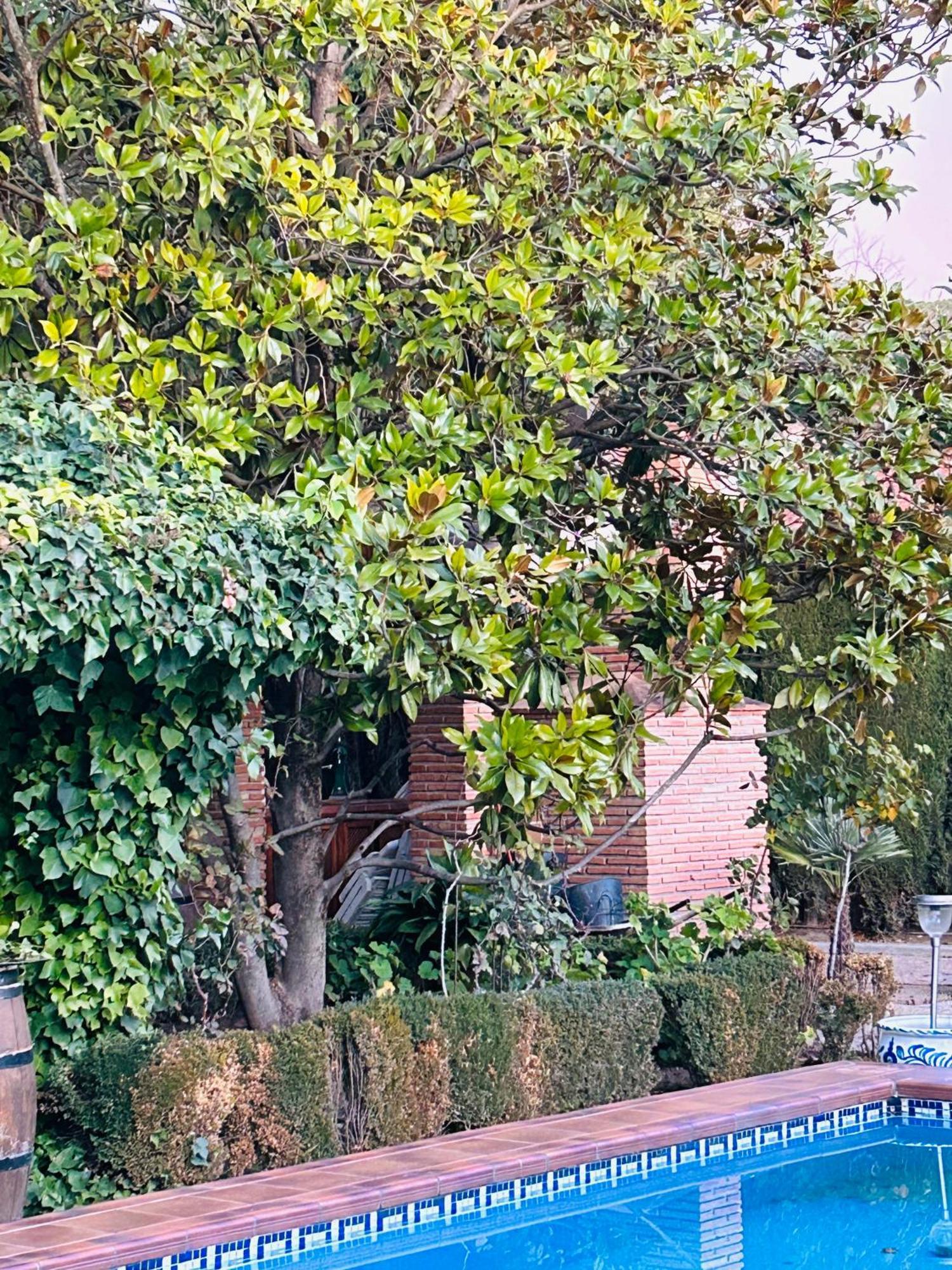 Casa Los Rosales Alfacar Luaran gambar