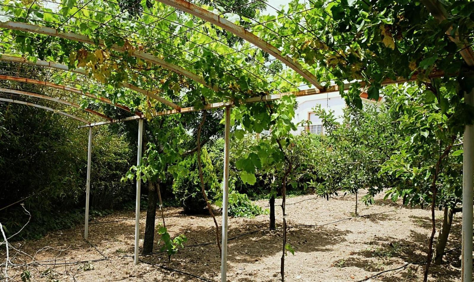 Casa Los Rosales Alfacar Luaran gambar