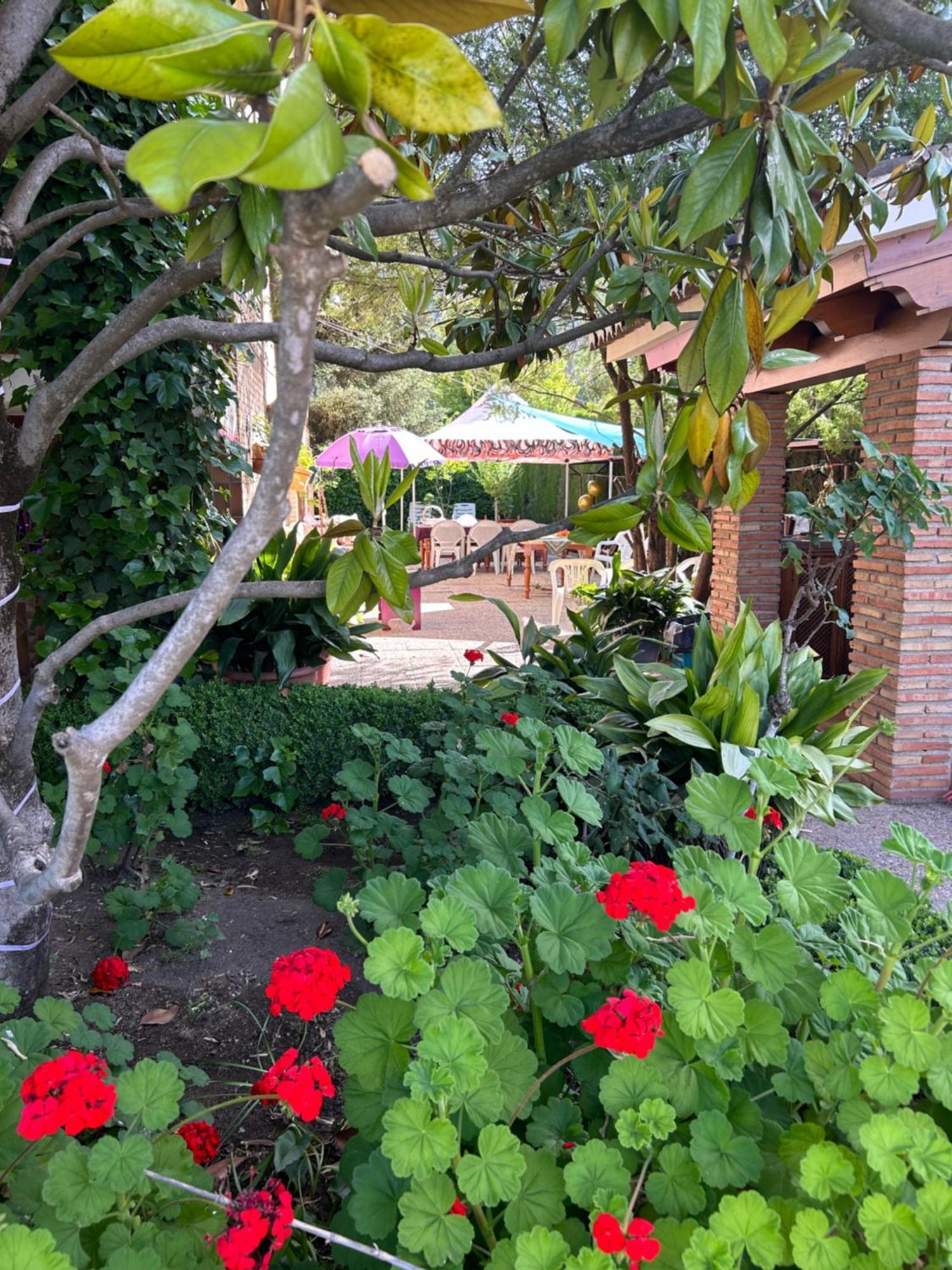 Casa Los Rosales Alfacar Luaran gambar
